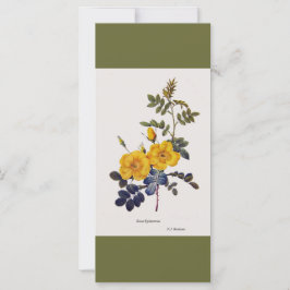 Marcador de flores de rosa amarela-botânica vítrea