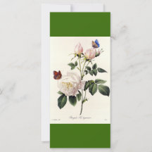 Marcador de flores de rosa branca de arte botânica