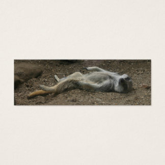 Marcador de Meerkat Sunbelt