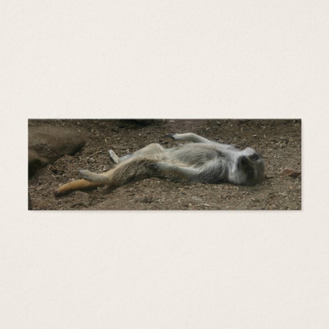 Marcador de Meerkat Sunbelt (Frente)