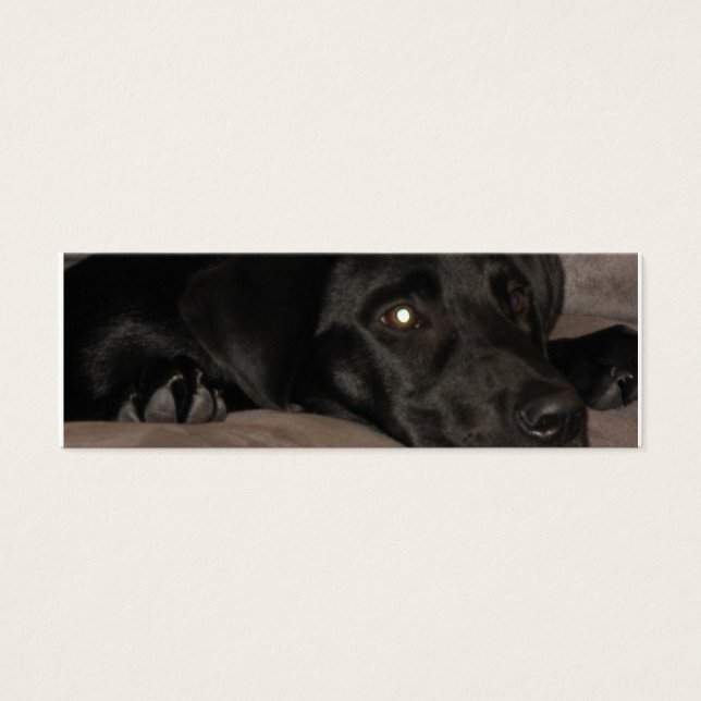 Marcador de Retriever Preto Labrador (Frente)