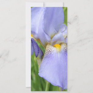 Marcador Iris III