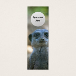 Marcador Personalizado do Meerkat