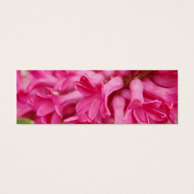 Marcador Rosa Hyacinth (Frente)