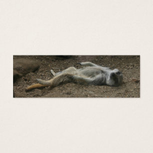 Marcador Sunbathing de Meerkat