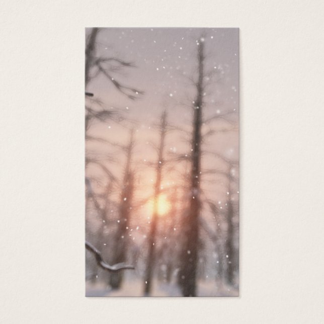 Marcadores de Sonho de Noite de Inverno (Frente)