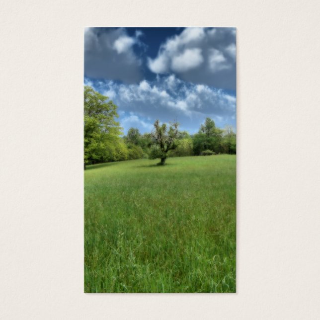 Marcadores Verdes Appalachianos (Frente)