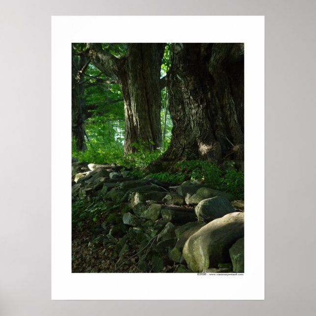 Marcha do Poster de Maples (Frente)