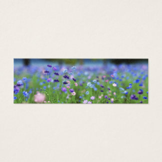 Marcos Azuis de Cornflower