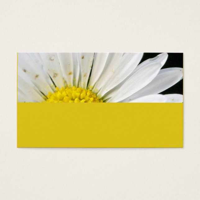 Margarida (Frente)