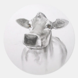 Margarida as etiquetas da vaca