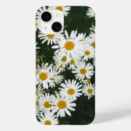 Margarida Branca de Oxeye, Moon Daisy Meadow
