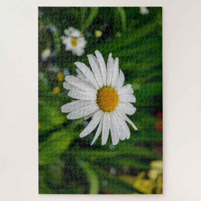Margarida com quebra-cabeça de água (Vertical)