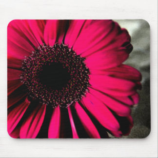 Margarida cor-de-rosa Mousepad