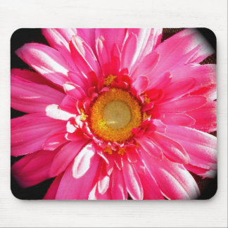 Margarida cor-de-rosa Mousepad de Gerber
