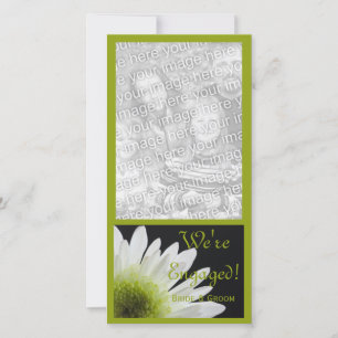 Margarida no anúncio preto do noivado do casament