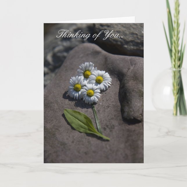 "Margarida" que pensa de você. Cartão (Frente)