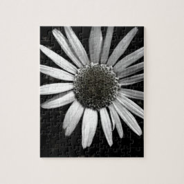 margarida quebra-cabeça daisy preto e branco fotog