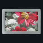 margarida rosa-vermelha / flores das margaridas<br><div class="desc">margarida rosa-vermelha / flores das margaridas</div>