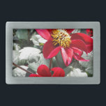 margarida rosa-vermelha / flores das margaridas<br><div class="desc">margarida rosa-vermelha / flores das margaridas</div>
