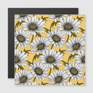 Margaridas brancas, flores silvestres em amarelo