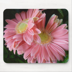 Margaridas cor-de-rosa Peachy Mousepad