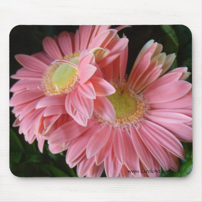 Margaridas cor-de-rosa Peachy Mousepad (Frente)