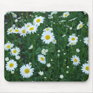 Margaridas - Mousepad