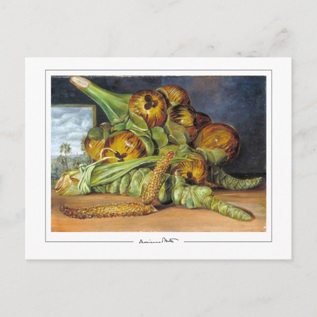 Marianne North #52 - Cartão Postal de Arte (Frente)