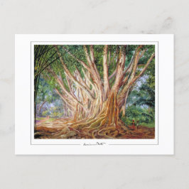 Marianne North #5 - Cartão postal de arte fina