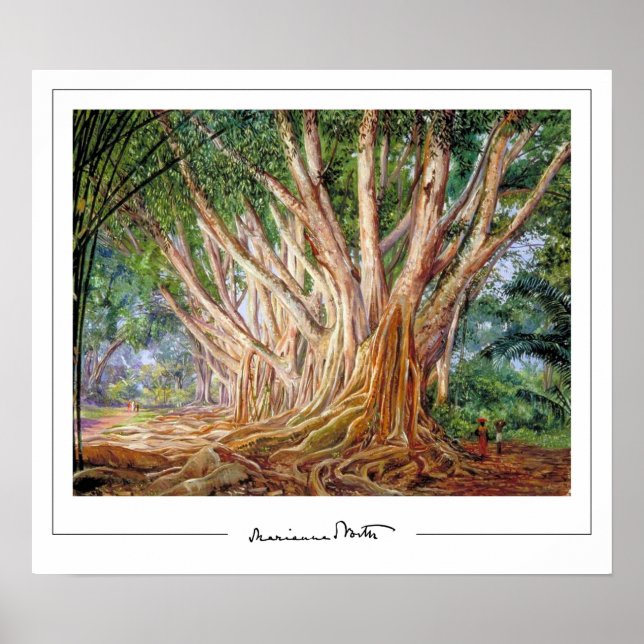 Marianne North Zedign Art Poster nº 5 (Frente)