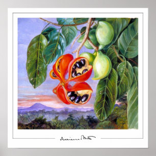 Marianne North Zedign Art Poster nº 9