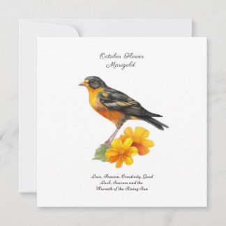 Marigold Flower and Bird Birds, outubro
