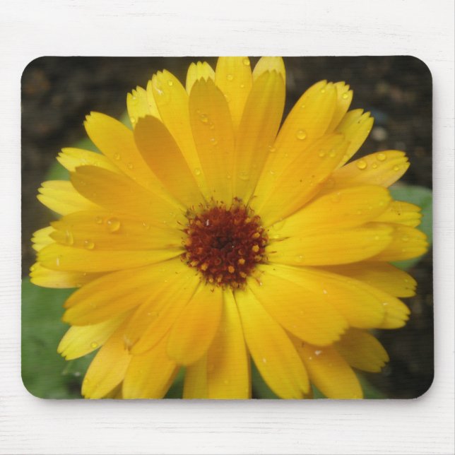 Marigold Macro Mousepad Amarelo (Frente)