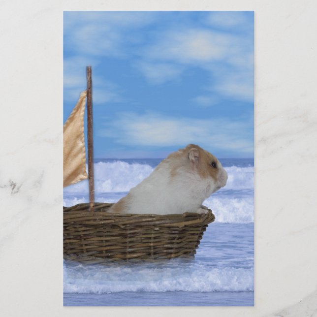 Marinheiro de Hamster (Frente)