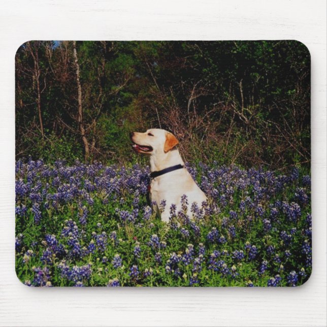 Marinheiro no mousepad dos bluebonnets (Frente)