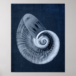 Marinho Blue Beach Decor Seashell Art Impressão nº