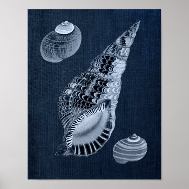 Marinho Blue Beach Wall Decor Seashell Impressão n (Frente)