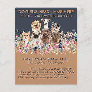 Marinho Brown Dog Sitting Service Pet groyer