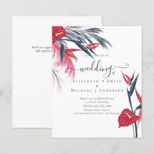 MARINHO de Grama de Pampas Tropicais do ORÇAMENTO 