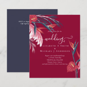 MARINHO de Grama de Pampas Tropicais do ORÇAMENTO 