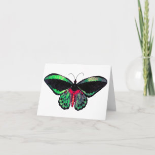 Mariposa ~ Card / Convites