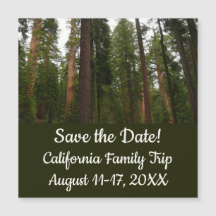 Mariposa Grove no Parque Nacional de Yosemite