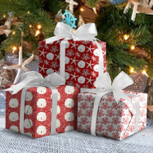 Marisco Vermelho Areia Dólar de Natal Costeiro