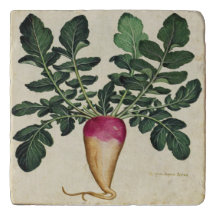 Mármore do rabanete ou travertino botânico Trivet