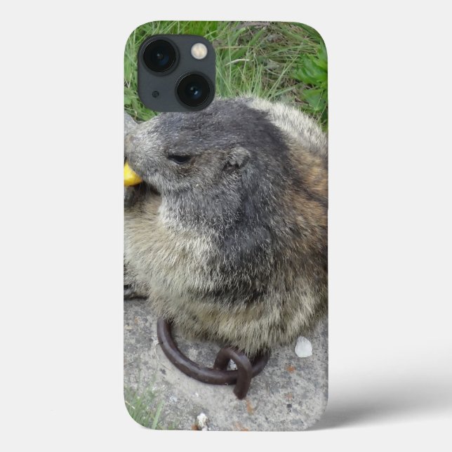 Marmot capas de ipad (Verso)