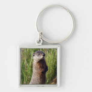 Marmot Chaveiro