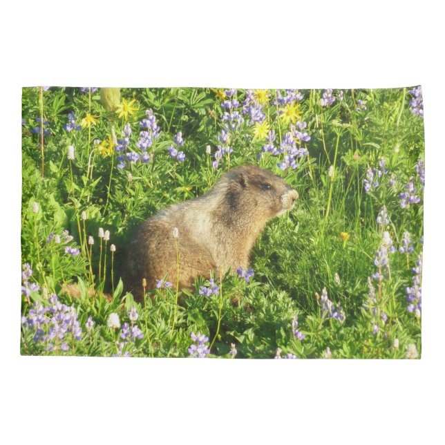 Marmota em Flores Silvestres do Monte Rainier (Verso)