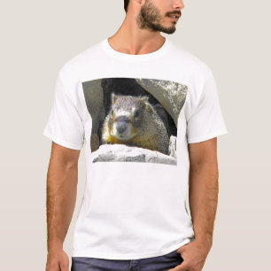 Marmota no t-shirt do antro da rocha