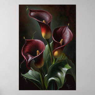 Maroon Calla Lily Lily Flower Art Poster